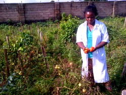Tomato: Farmers seek standard tomatoes storage facility