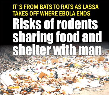 From bats to rats as Lassa takes off where Ebola stoped