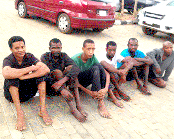 We use charms to steal cattle from grazing sites – Suspects