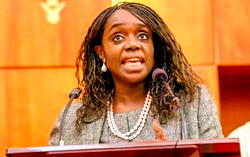PDP to Adeosun: Apologise to Nigerians for your insensitive comment on recession