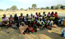 50,000 flee Boko Haram attacks in Niger – UN