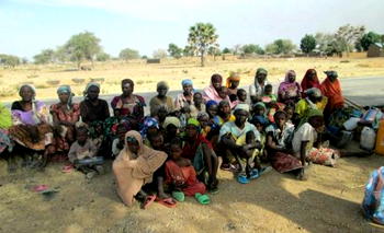 50,000 flee Boko Haram attacks in Niger – UN