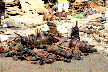 Aftermath of artists’ village demolition, stakeholders demand justice