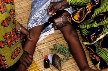 Female genital mutilation:  Major cause of barrenness