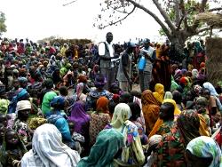 Boko Haram: Women, girls randomly raped in IDPs camps in exchange for food, water – LEDAP