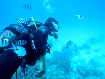 Reno Omokri goes SCUBA Diving in Mauritius