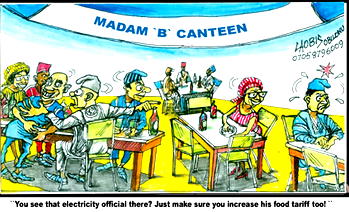 Electricity shortfall: Senate stops FG’s planned N309bn bond