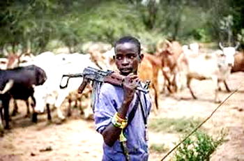 We recovered only 88 bullets from herdsman — Imo monarch