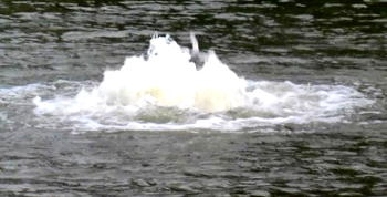 Oil spill hits Bayelsa community