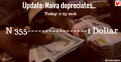 Naira ends 2day rally, depreciates to N355/$