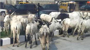 Fulani hackmen and Nigeria’s clash of civilisations