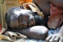 Troops nab wantd Boko Haram terorist