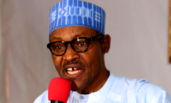 We’re developing dynamic tax system to fund budgets- Buhari
