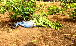 FRSC deposits late James Ocholi’s corpse, others at National Hospital