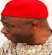 Prof. Anibeze emerges SECAN President