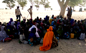 Nigerian troops Kill 5 terrorists, rescue 180 hostages and their cattle