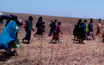 MNJTF captures Damasak, border town