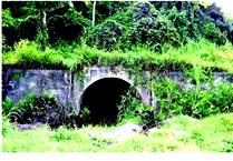 From 1909: Sad tale of Enugu coal industry