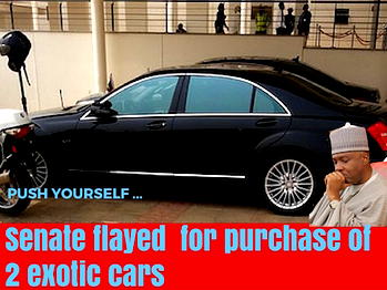 Sagay, Tsav, others flay Senate’s purchase of 2 exotic cars