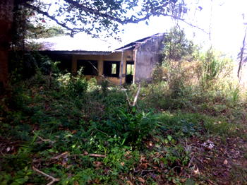 Delta community laments deplorable state of schools