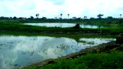 11 killed and 30,000 left homeless in Niger floods