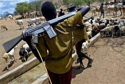 armed herdsmen