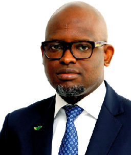 Enabling environment  key to investments  security -Akinfemiwa