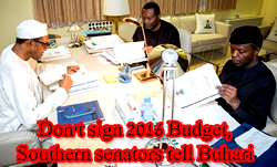 Don’t sign 2016 Budget, Southern senators tell Buhari