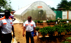 Greenhouse tech can fill tomatoes production gap in Nigeria – Walumnbe