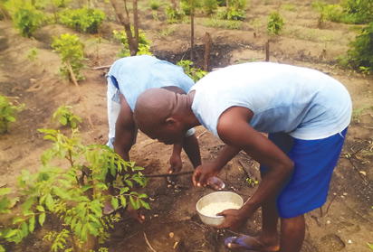 Maize farmers association decries delay in passage of 2018 budget
