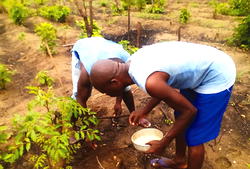 FADAMA decries Anambra farmers’ default in loan repayment.