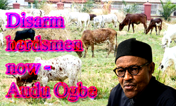FG to build ranches, grazing reserves for Fulani Herdsmen