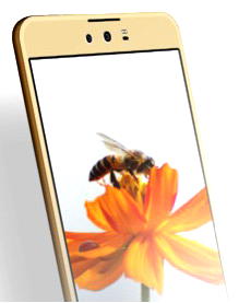Tecno to bring Camon C9 to smart phone market
