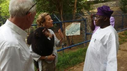 Obasanjo donates chimpanzee named Patience to wildlife sanctuary