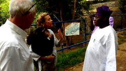 Obasanjo donates chimpanzee named Patience to wildlife sanctuary