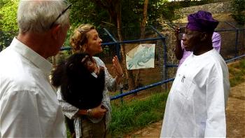 Obasanjo donates chimpanzee named Patience to wildlife sanctuary