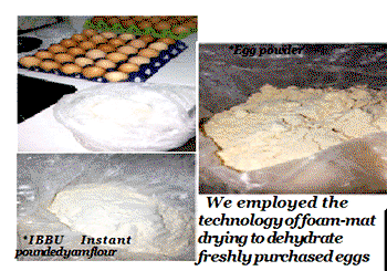 Egg powder, Instant pounded yam flour from IBBU
