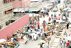 Diversifying export base requires strong SMEs, says Okonkwo