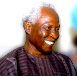We’ve lost a colossus in Elechi Amadi- Amaechi