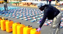 NDLEA arrests 120 suspects, seizes 15.5 tons of drugs in Kaduna