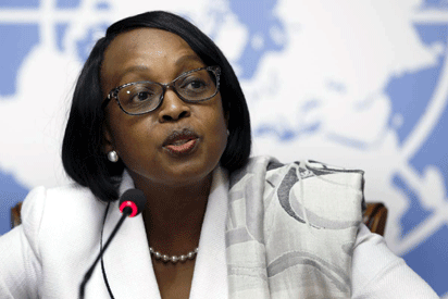 Tropical Diseases: Hundreds of millions at risk —World Health Organisation chief