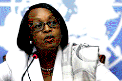 Tropical Diseases: Hundreds of millions at risk —World Health Organisation chief