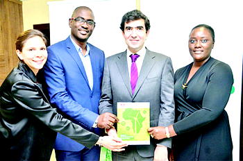Renewable energy: Africa needs $90bn investment annually