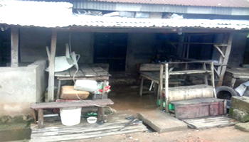 Rivers massacre: The gods must be appeased for the butcher of 23 villagers by cultists