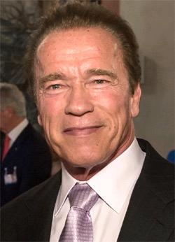 Trump asks faith leaders to pray for Schwarzenegger’s ratings