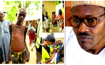 UN warns over malnutrition deaths in NE Nigeria