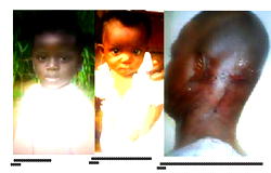 Unknown gun men attack family, disappear with 2 kids in Imo State