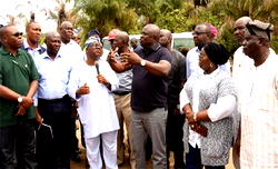 Ambode counsels residents against uncontrolled tree felling