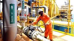 Explore oil, gas in Benue Trough, Chad Basin to grow reserves