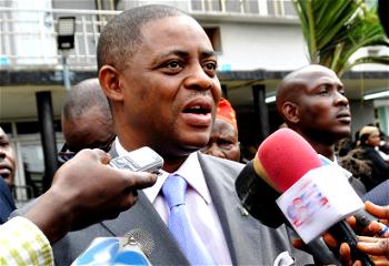 FG’s looters list nonsensical and utterly shameful – Fani-Kayode